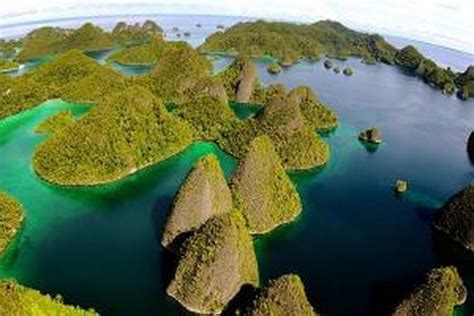 Spot Menyelam Tipis Tipis Di Raja Ampat Bisa Untuk Pemula Paragram Id