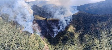 En Lo Que Va Del 2023 Se Han Registrado 2 417 Emergencias De Incendios