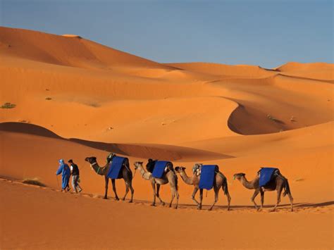 The Most Beautiful Sand Dunes Of Morocco The Frisky