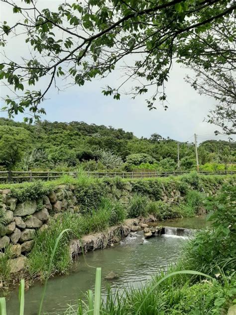 大坑溪三生步道 步道狀況回報 2020 05 03 0000 健行筆記