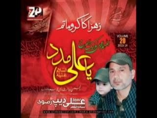 Shia News Network Official: Ali Deep Rizvi Nohay 2014 Full Album