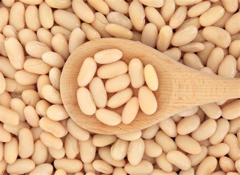 14 Beans With The Highest Amount Of Protein