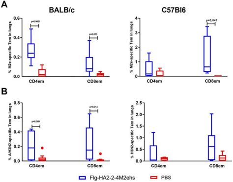 Vaccines Free Full Text Flagellin Fused Protein Targeting M E And