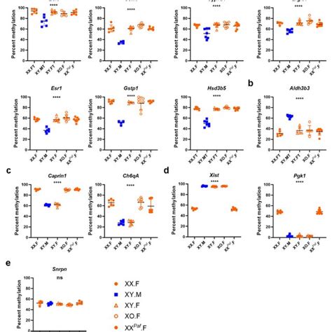 Validation Of Sex Associated Differentially Methylated Regions Sdmrs