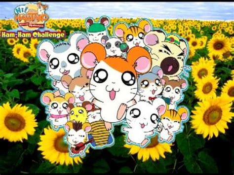 Hi Hamtaro Ham Ham Challenge Music Introduction Youtube