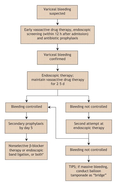 Portal Hypertension Pathophysiology