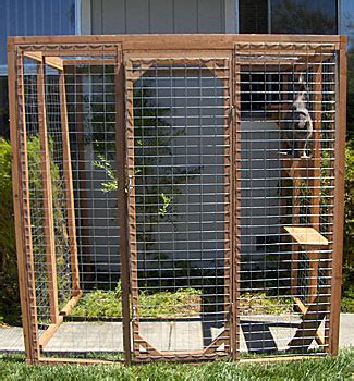 Outdoor Cat Enclosures: Outside Protected Play And Rest Areas For Your ...