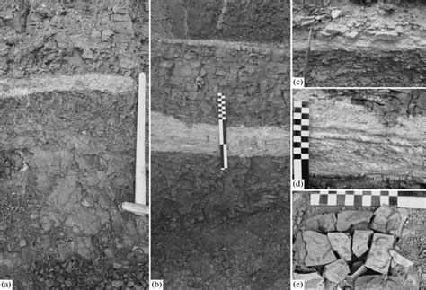 Stratiform gleization zones at the cyclotheme roof (a) with paleosoil ...