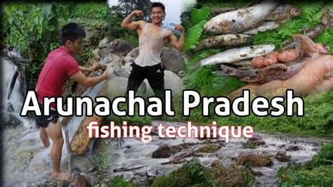 Arunachal Pradesh Fishing Catching Video Life In Arunachal Pradesh