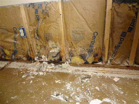 Columbia MD Mold Inspection Mold Remediation MoldGone Net