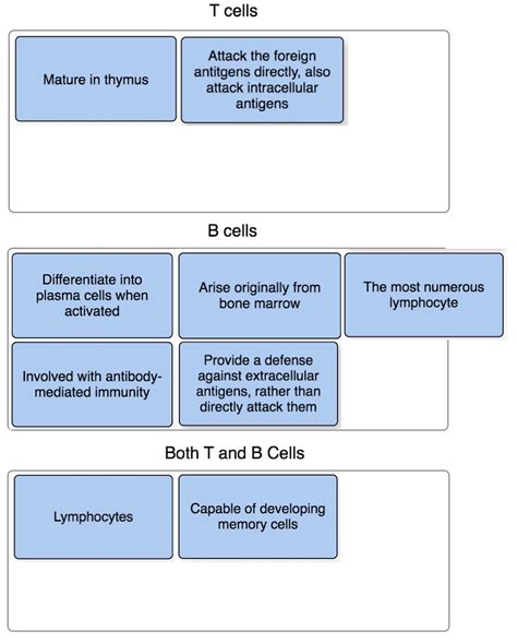 Drag Each Label To The Cell Type It Describes