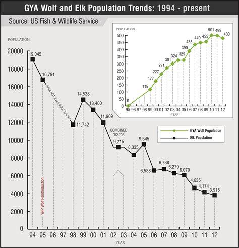 PPT - The impact of reintroduced wolves on the elk population in ...