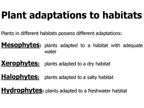 🎉 Plant adaptation to environment. Biology of Plants: Plant Adaptations ...