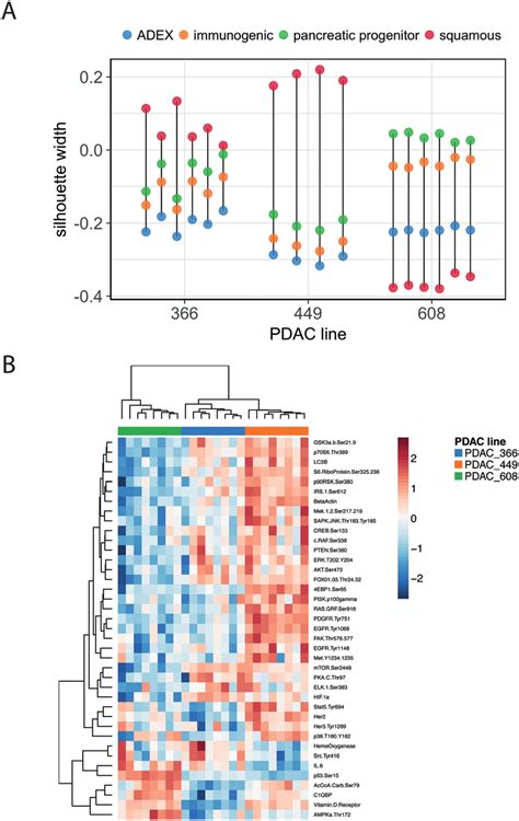 The Pdac Tmes Reveals Molecular Subtypes A The Silhouette Width Of Download Scientific