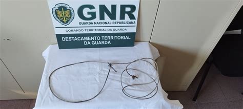 Sabugal Homem constituído arguido por caça meios proibidos Rádio