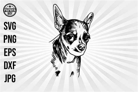 Chihuahua Svg Graphic By Papaya Woy Creative Fabrica