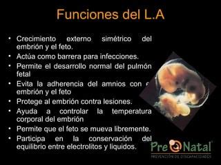 1 ecología fetal y pd PPT