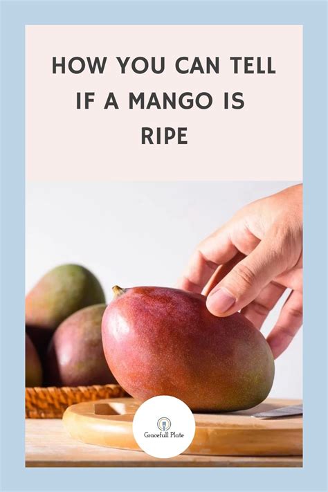 From The Smell Taste And Look Of A Mango There Are Signs That Indicate Its Ripeness Here’s