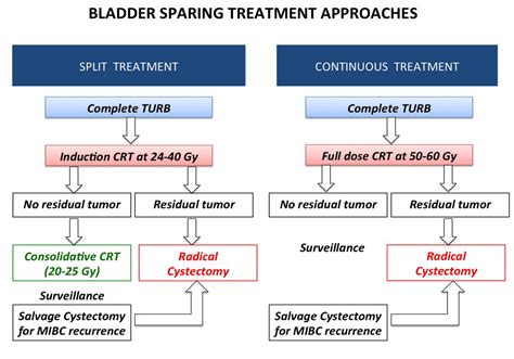 A Systematic Review And Meta Analysis Of Clinical Trials Of Bladder