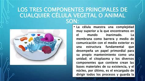 Componentes De La Celula Pptx