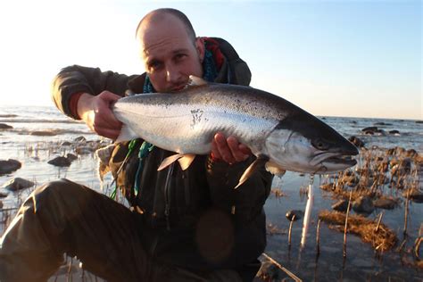 Fishyourdream Ab Startar Rlig Fisket Vling Gotland Seatrout Open