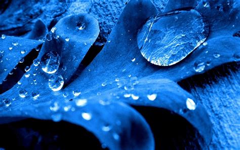 Background Blue Water Droplets Wallpaper 62 Images