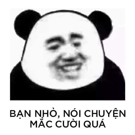 Ghim Của Mieseyo Trên Cmeme Meme Chuyện Cười Gấu Trúc