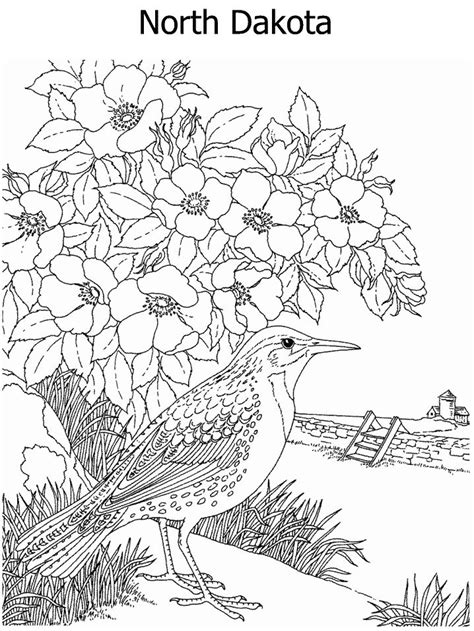 A Bird Is Standing In Front Of Some Flowers