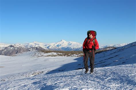 La Cordillera Más Larga Del Mundo Los Andes Fauna Y Excursiones