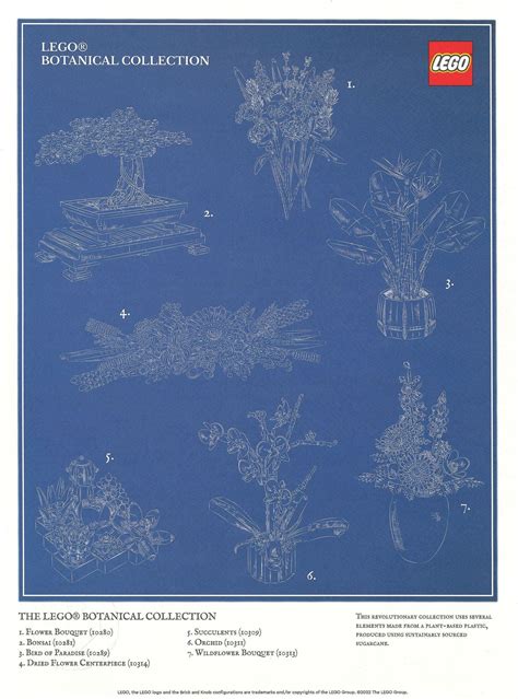 LEGO 5007797 Botanical Collection Art Print Blueprint BrickEconomy