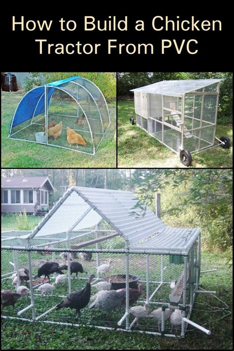 Easy To Move Around Pvc Chicken Tractor Your Projects Obn Backyard