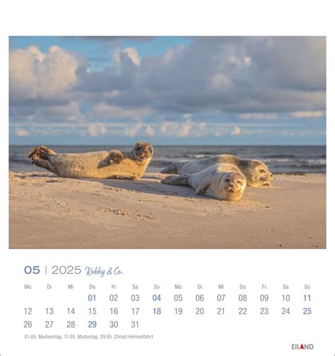 Robby Co Postkartenkalender Eiland Verlag Sylt