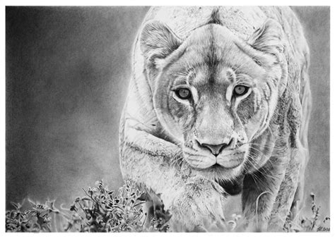 Hyper Realistic Pencil Drawings By Italian Artist Franco Clun World