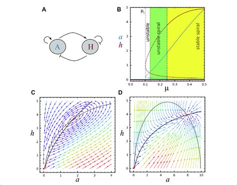 Bifurcation Diagram And Nullclines A Schematic Representation Of The