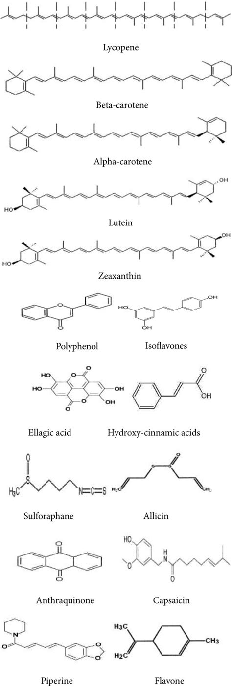 Some Of The Important Bioactive Phytonutrients Download Scientific