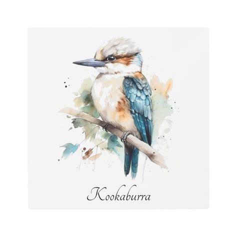 Cute Kookaburra on a branch painted in watercolor Metal Print | Zazzle in 2023 | Metal prints ...