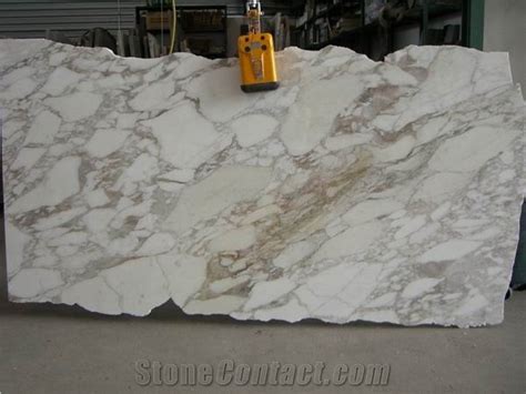 Calacatta Vagli Oro Marble From United States Stonecontact