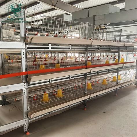 Philippines Tier H Type Battery Broiler Chicken Cage For Sale China