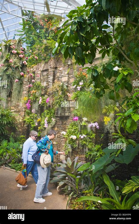 People In The Spring In Daniel Stowe Botanical Garden In Belmont North