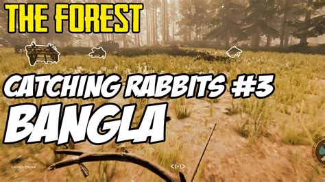 The Forest Catching Rabbits 3 Youtube