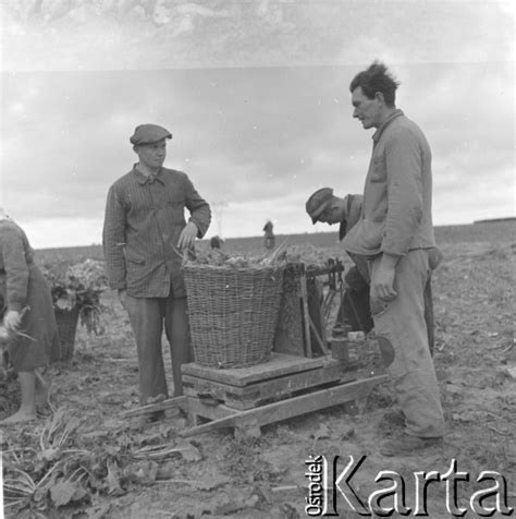 Fotokarta Nasze Zbiory Kolekcje Lata Polska Zbiory Buraka