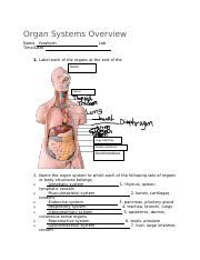 Assignment 1 Part 2 Docx Organ Systems Overview Name Yaraileen Time