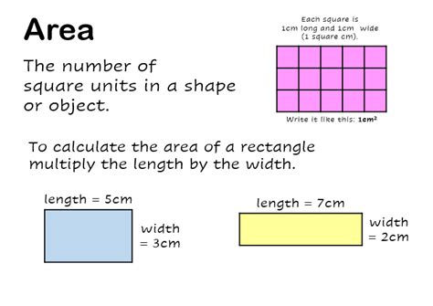 AREA PowerPoint Lesson Starter with Worksheets | Teaching Resources 