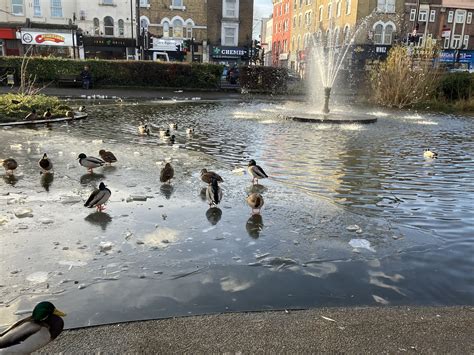 Clapton Pond Neighbourhood Action Group