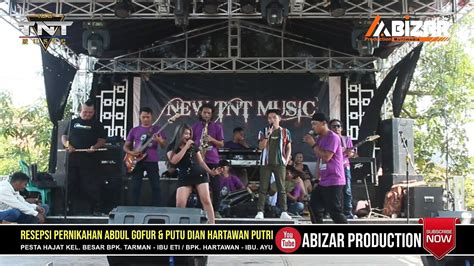 PENDAMPING ATI Voc IIM TARLING DANGDUT NEW TNT MUSIC LIVE