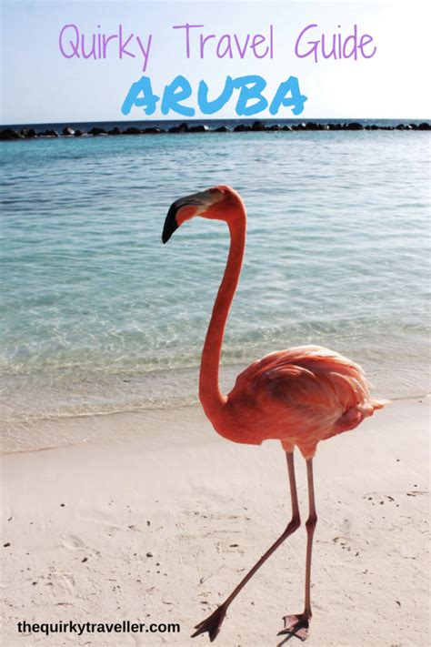 Quirky Travel Guide Top Things To Do On Aruba The Quirky Traveller Blog