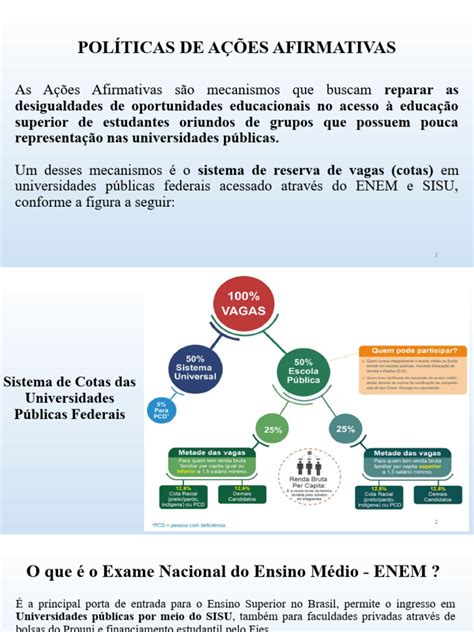 Politicas De Acoes Afirmativas - Políticas de Ações Afirmativas na Educação | PDF