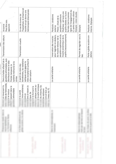 Solution Anatomie Les Nerfs Studypool