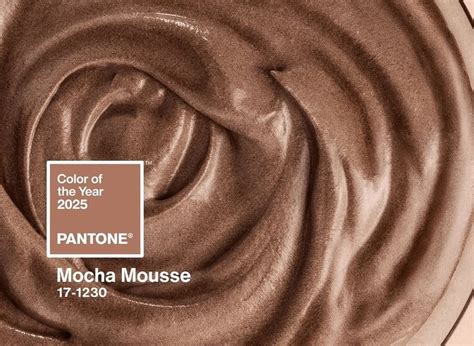 Mocha Mousse Is The Pantone Colour Domus