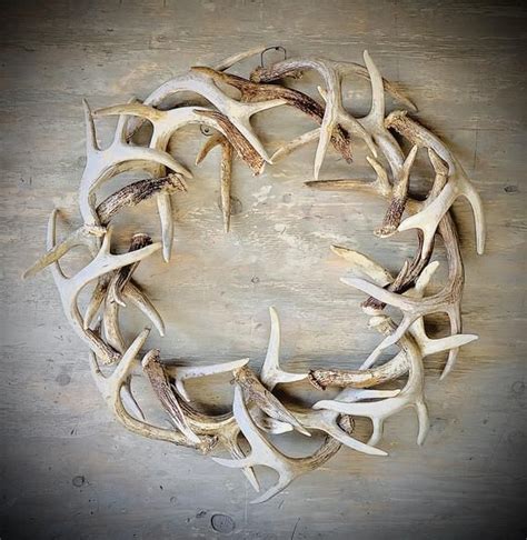 Pin On Deer Antler Decor